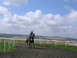 Gallops